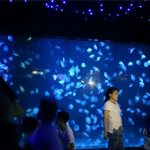 2018 akryl vandmands akvarium tank glas