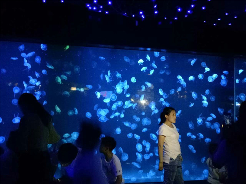 2018 akryl vandmands akvarium tank glas