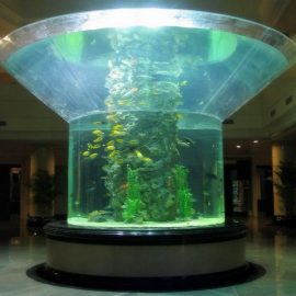 pmma glas akvarium halvcylinder perspex klar fisketank