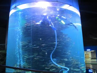 klar akrylcylinder stor fisketank til akvarier eller havpark