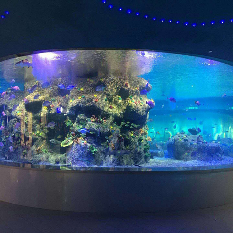 Kan ignoreres Rå Patriotisk fabrikken leverer fiskeskåle, runde glas tank akvarier - Yuejing Acrylic