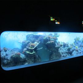 Kunstig Cast Akryl Cylindrisk Transparent Fisk Akvarium / Vindue