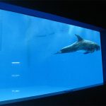 høj kvalitet stort akryl akvarium / pool vindue undervands tykt vinduer ark