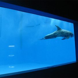 høj kvalitet stort akryl akvarium / pool vindue undervands tykt vinduer ark