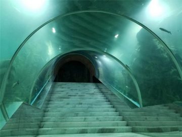 Akryl tunnel akvarium projektpris
