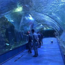 Akryl tunnel oceanarium projekt i offentlige akvarier