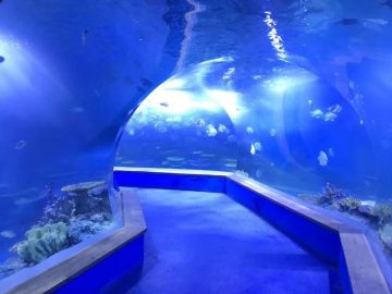 Klare pmma akryl Stor plastik tunnel af akvarium