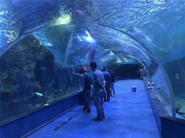 Custom plexiglas akryl tunnel akvarium