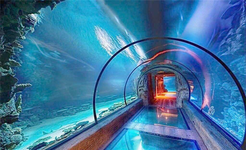 Moderne design akryl akvarium lang tunnel Acrylic