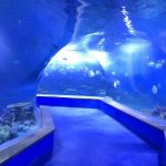 gennemsigtigt akrylglas Tunnel akvarium